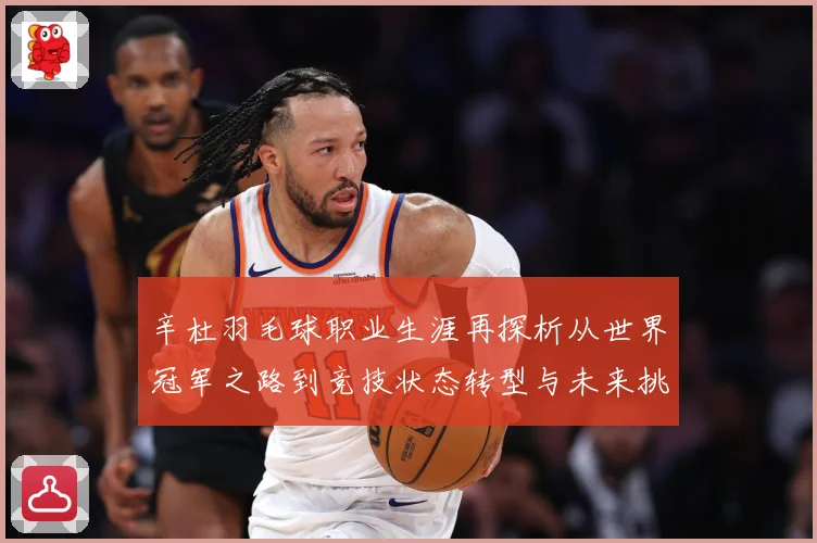 辛杜羽毛球职业生涯再探析从世界冠军之路到竞技状态转型与未来挑战